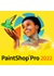 PaintShop Pro 2022 ダウンロード版