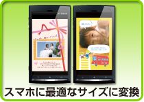 フルカラーガイドブック同梱