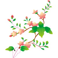 Drawgraphic® 2 Pro:花のイラスト