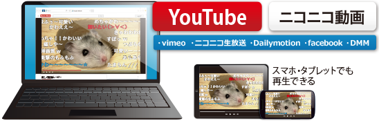 Youtubeなどを録画できる カット編集機能搭載 B S動画レコーダー3 12 Offの 3 480円 おさいふにお得な情報