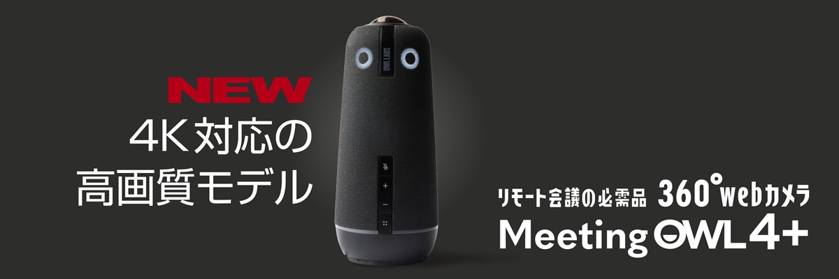 Meeting Owl 4+