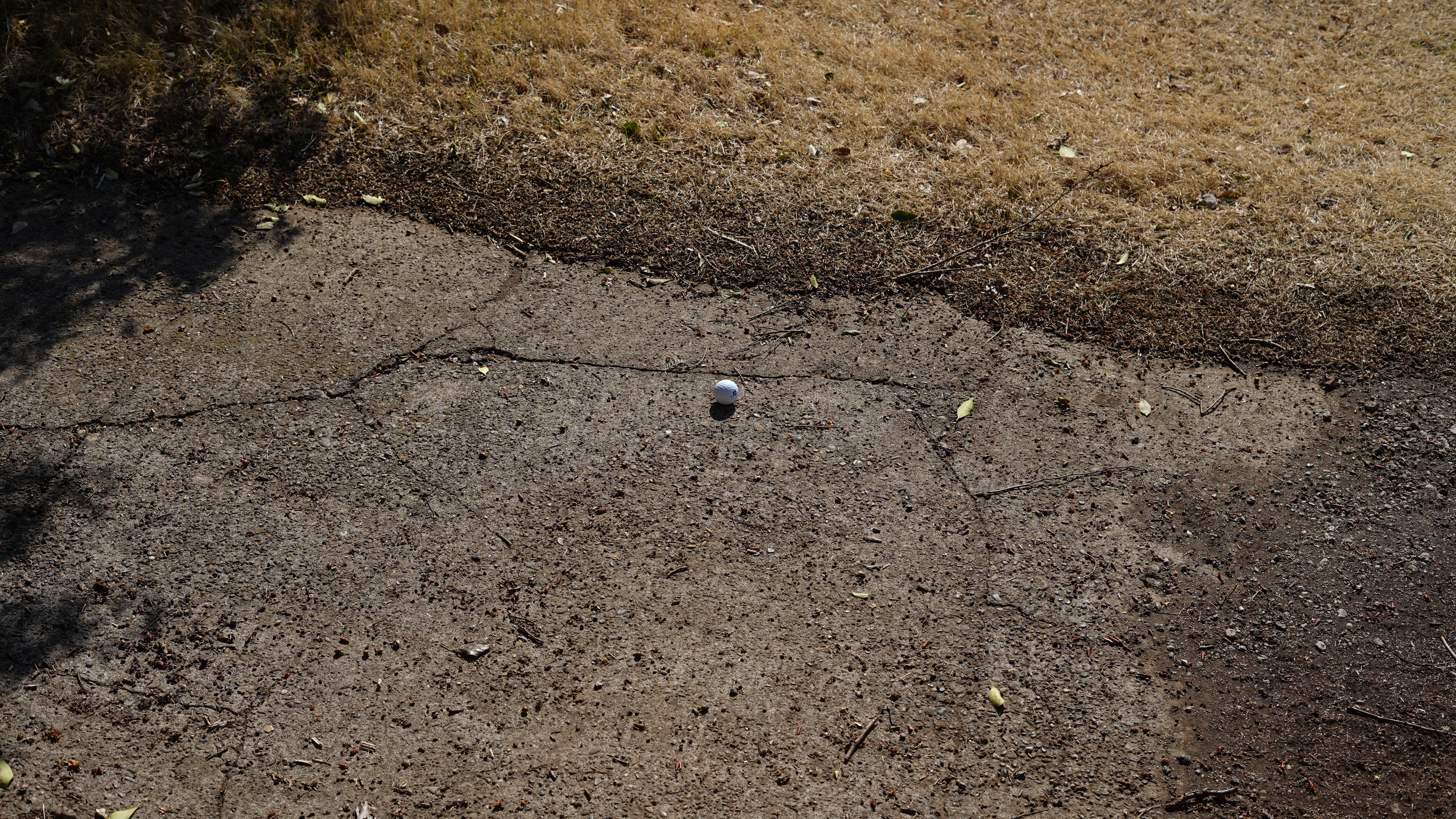 カート道にボールがある画像