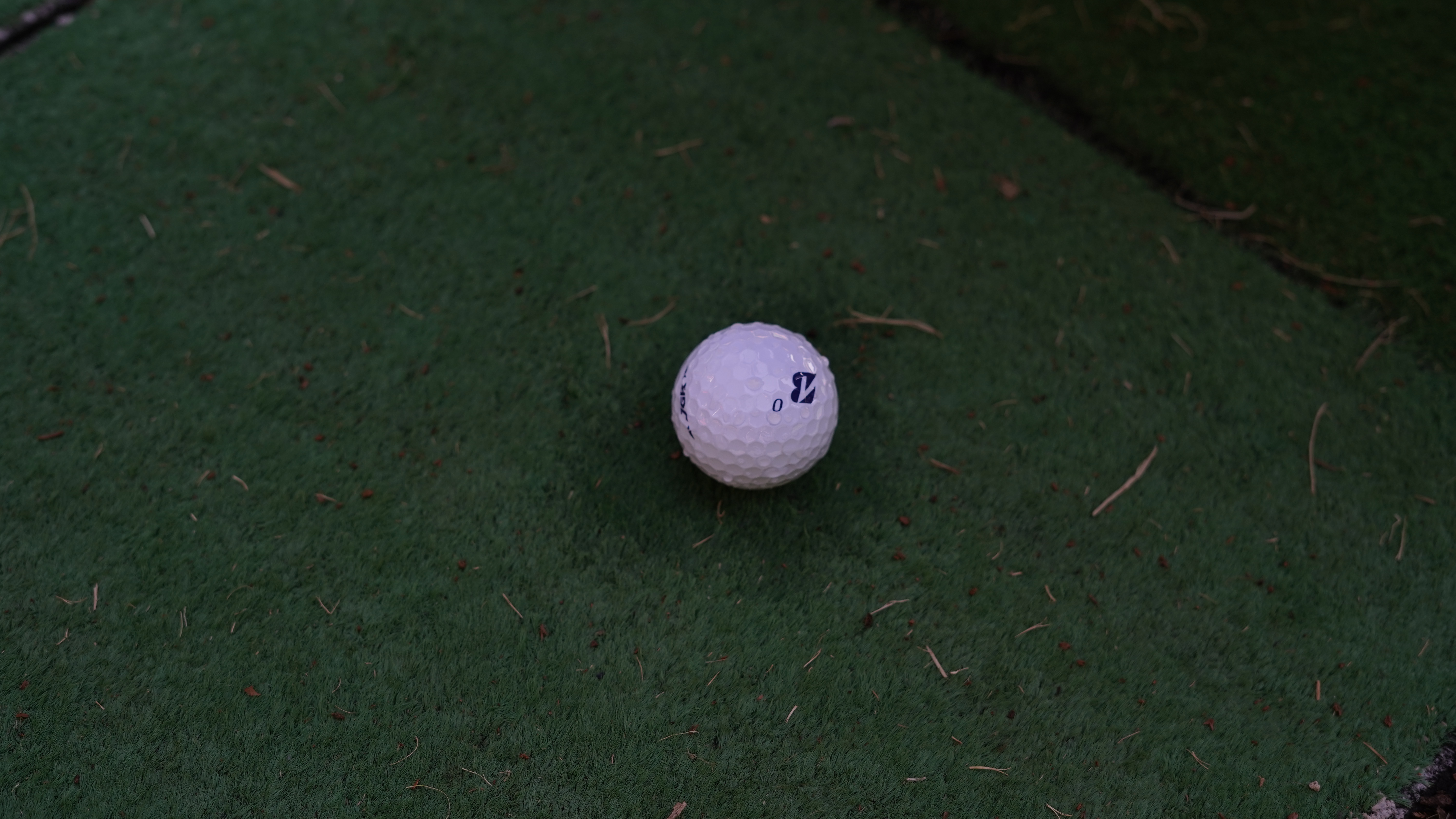 濡れているボール