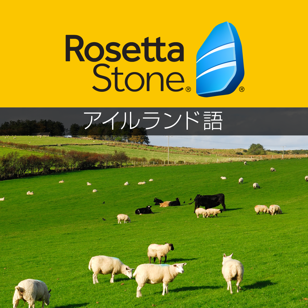 【45%OFF】ロゼッタストーン アイルランド語