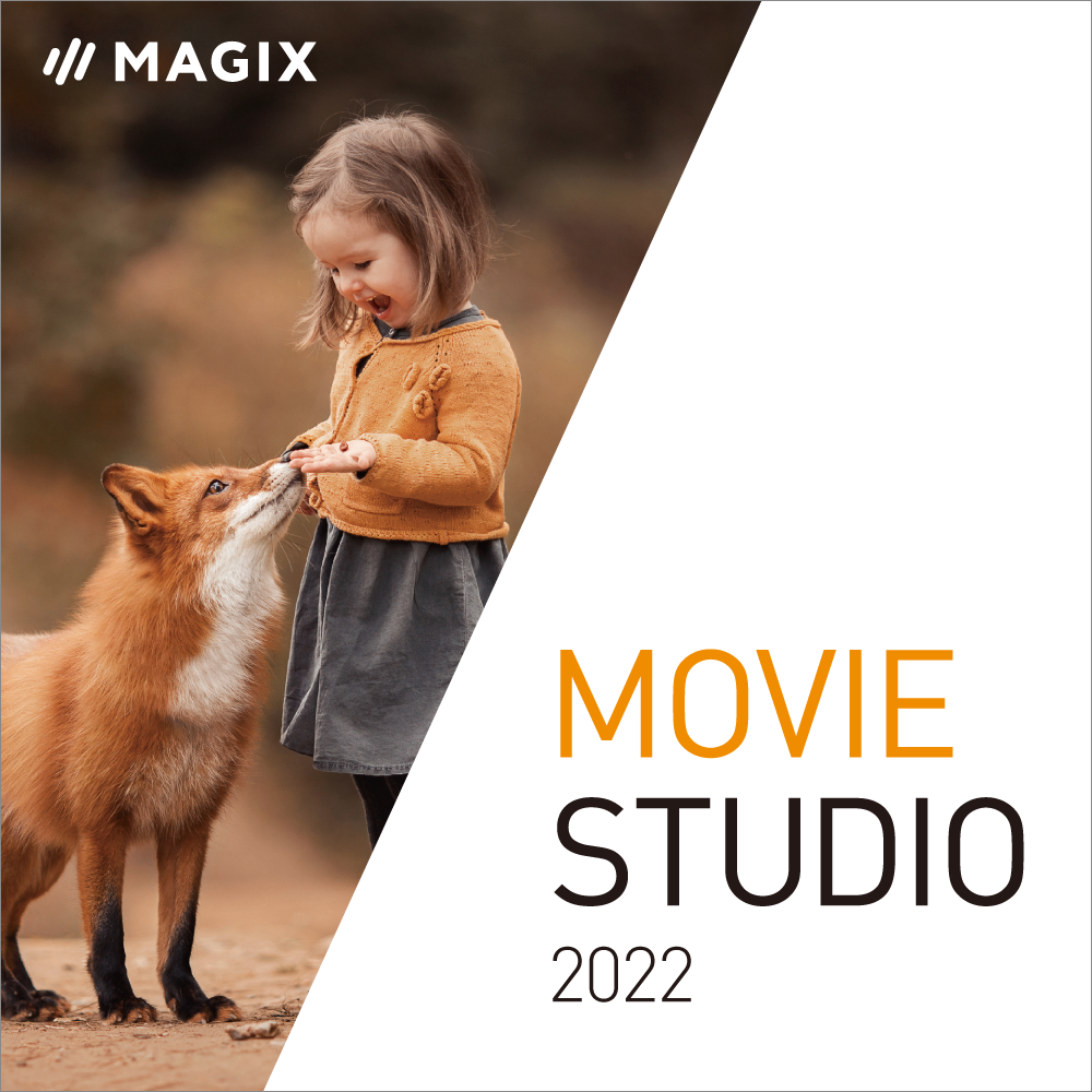 初心者でも簡単にビデオ編集 Movie Studio 22 ソースネクスト