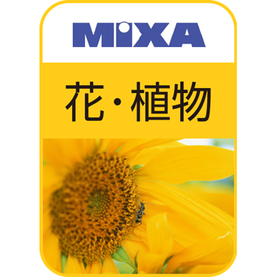 江川活版三号行書仮名 ダウンロード版 ソースネクスト パソコンの激安通販