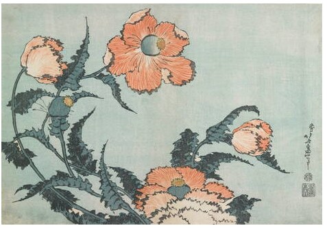 芥子