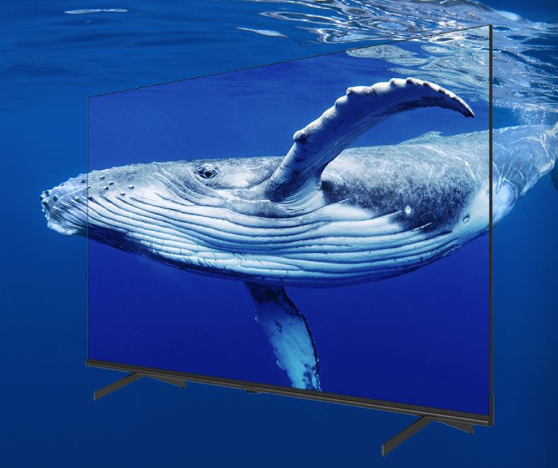 ベゼルレスフレームの採用