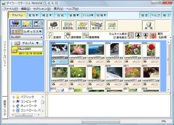 ③専用画面 ダウンロード版シリアル番号】 デイジーコラージュ Personal デジカメ