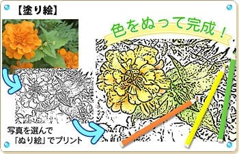 名称未設定