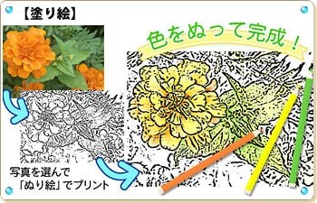 名称未設定