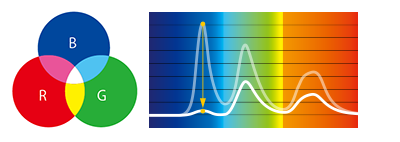 なぜ、削減できるのか