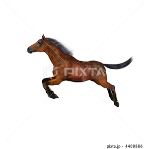 動物・植物（イラスト3,811点）