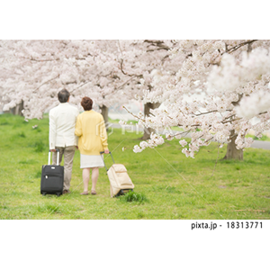 ファミリーライフ（写真2,715点）