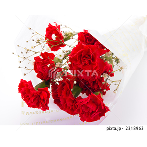 動物・植物（写真3,200点）