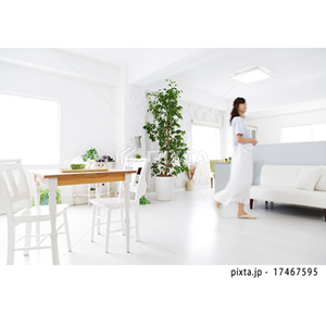 建物・インテリア（写真3,779点）