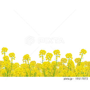 季節（イラスト3,478点）