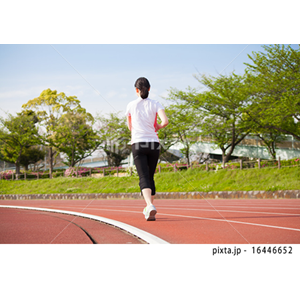 スポーツ（写真2,893点）