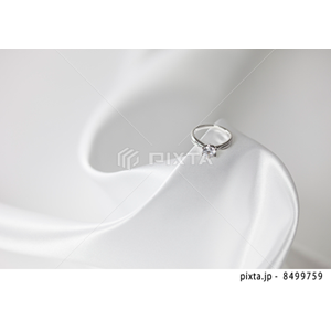 レジャー・ブライダル（写真5,162点）