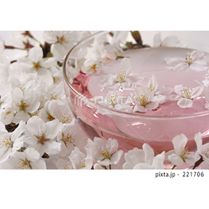 動物・植物（写真3,200点）