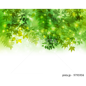 CG2（イラスト5,905点）