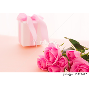 レジャー・ブライダル（写真5,162点）