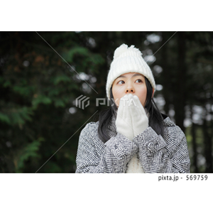 季節（写真4,568点）