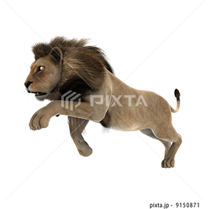 動物・植物（イラスト3,811点）