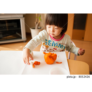 その他イメージ（写真1,797点）