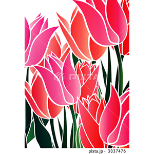 動物・植物（イラスト3,811点）