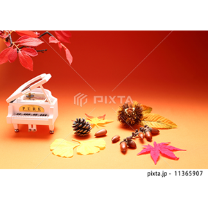 その他イメージ（写真1,797点）