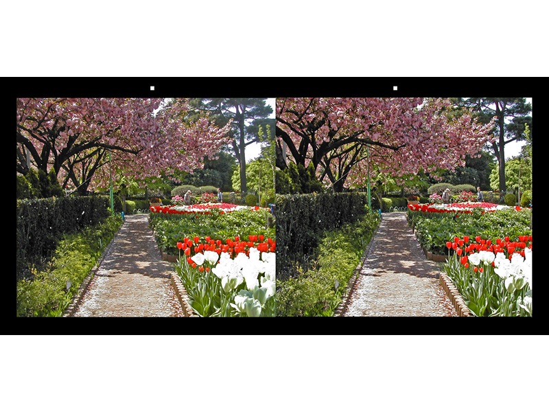 写真タイプ（17種類）