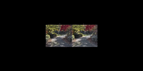 上級：大きさを段階的に切り替え