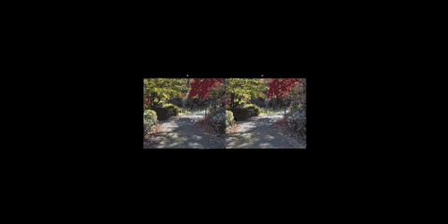 中級：じわじわ拡大・縮小