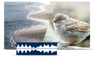 空中から人ごみの中まで