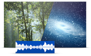 本物志向のサウンドスケープ