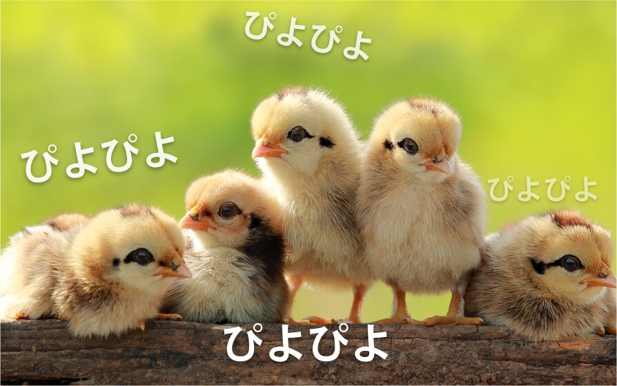 名称未設定