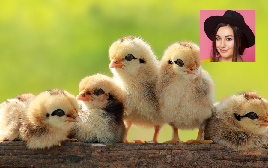 ピクチャーインピクチャー機能