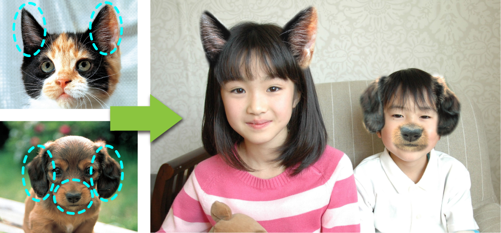 おもしろ写真も