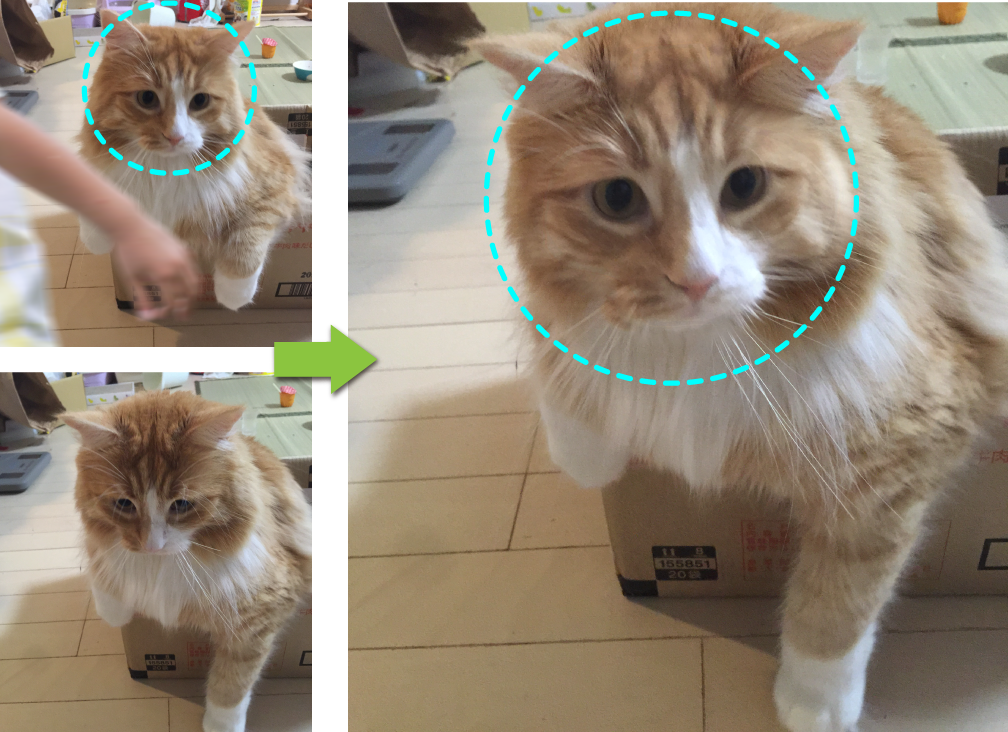 ペット写真も自然に合成できる