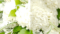 ハイライトリカバリ