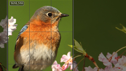 パワフルな調整機能