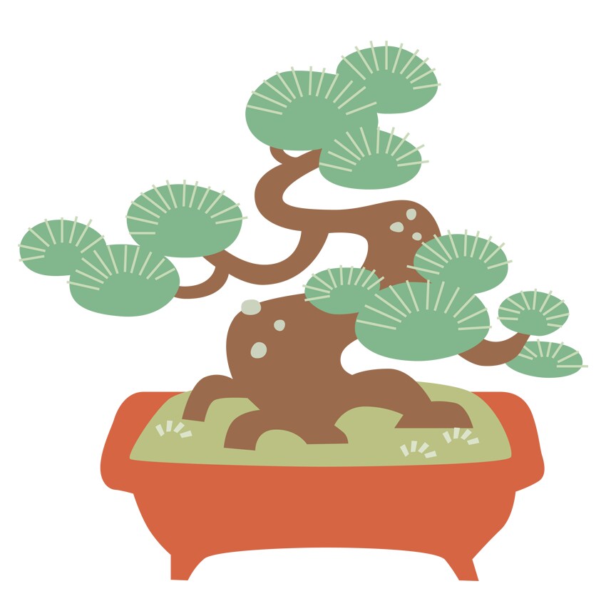 植物