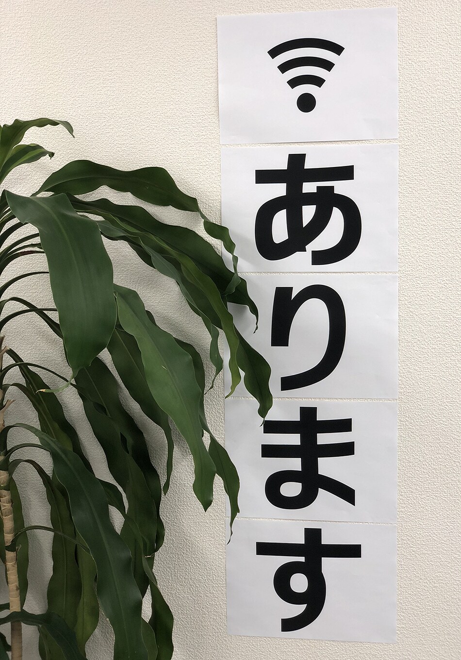 お店のPOPに