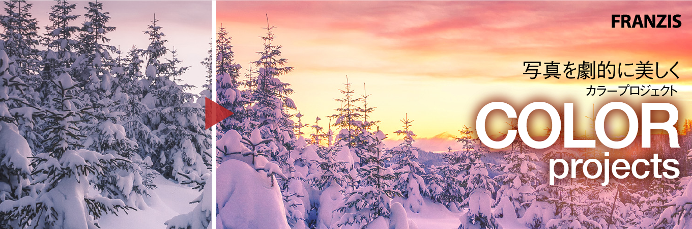 COLOR projects 6 professional 英語