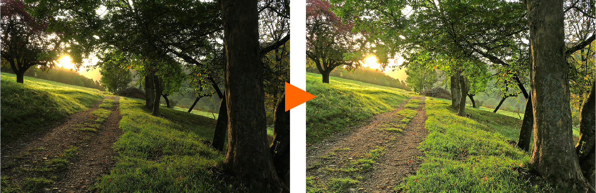 夜景や暗いところで撮った写真も