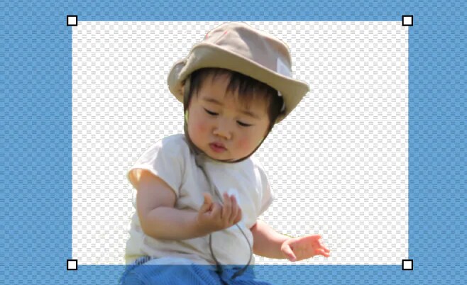 トリミング