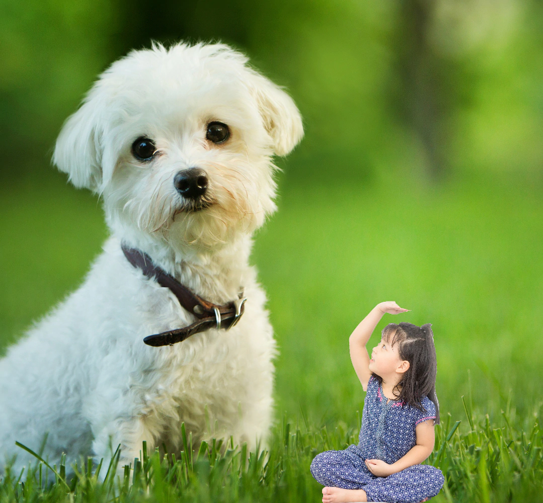 合成写真もつくれる