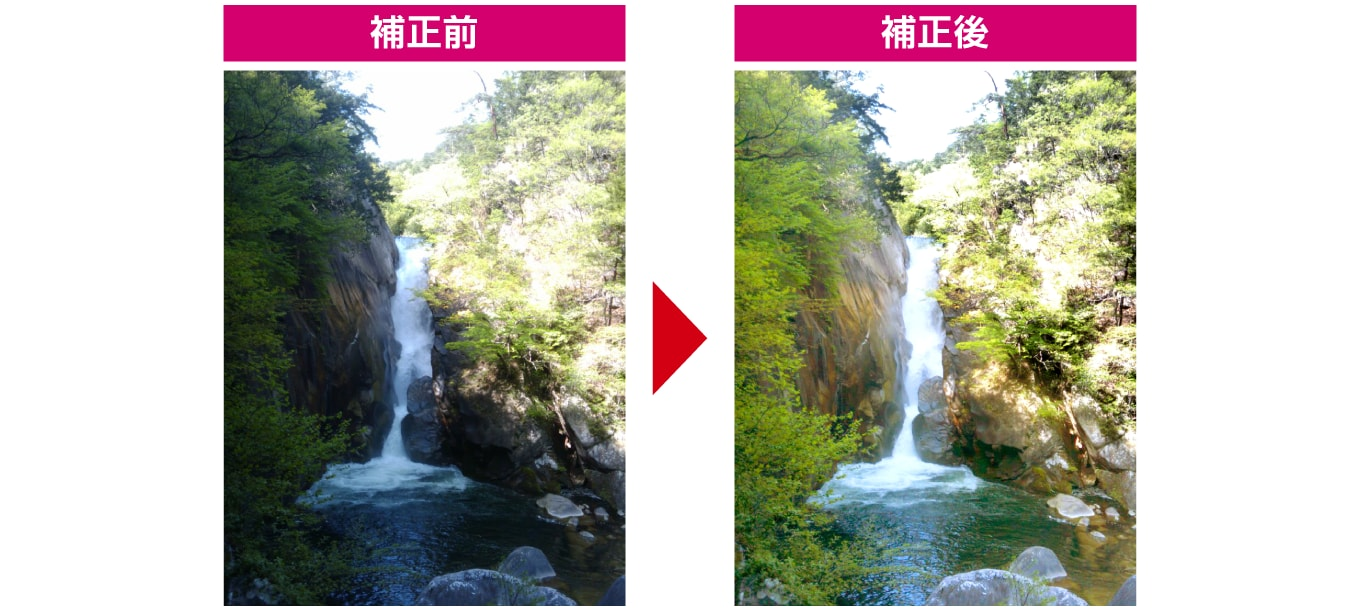 ワンクリックで補正機能の比較写真