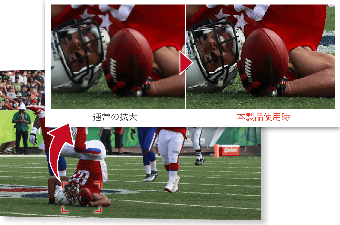 自由に拡大、印刷物にも便利